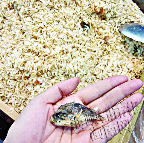 超市散装虾米藏着河豚干 医生:误食需立即就医