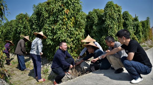 安溪县长坑乡帮农民奔小康